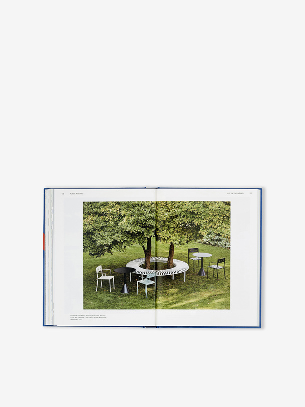 livre de heno phaidon - heno azul
